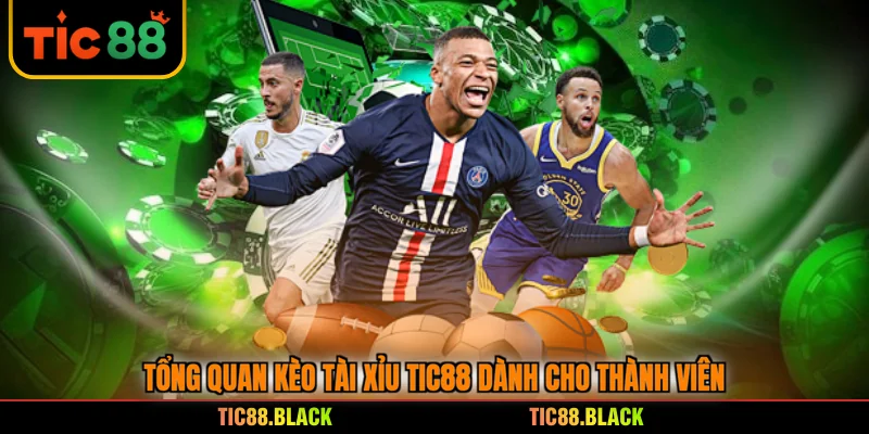 Tổng quan kèo tài xỉu TIC88 dành cho thành viên